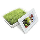 Graminha caes 60g - Viu Pet