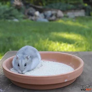 Pó Para Banho Seco - Pote 1kg - Viu Pet