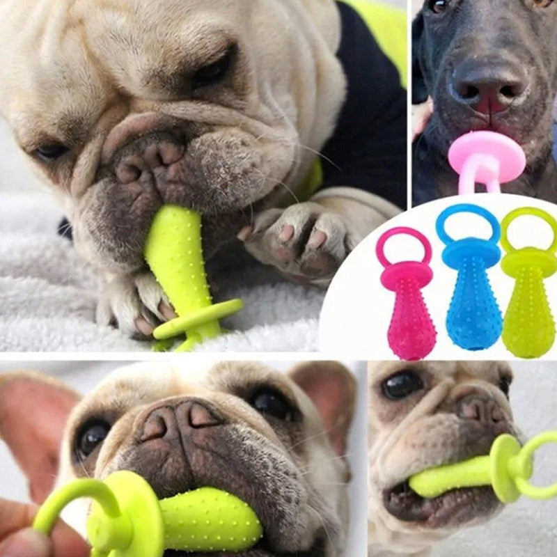 Kit 12 Brinquedos Borracha - Viu Pet