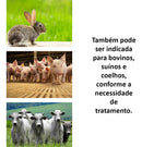 Sulfamicina 1 Litro Ibasa - Viu Pet