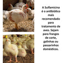 Sulfamicina 1 Litro Ibasa - Viu Pet