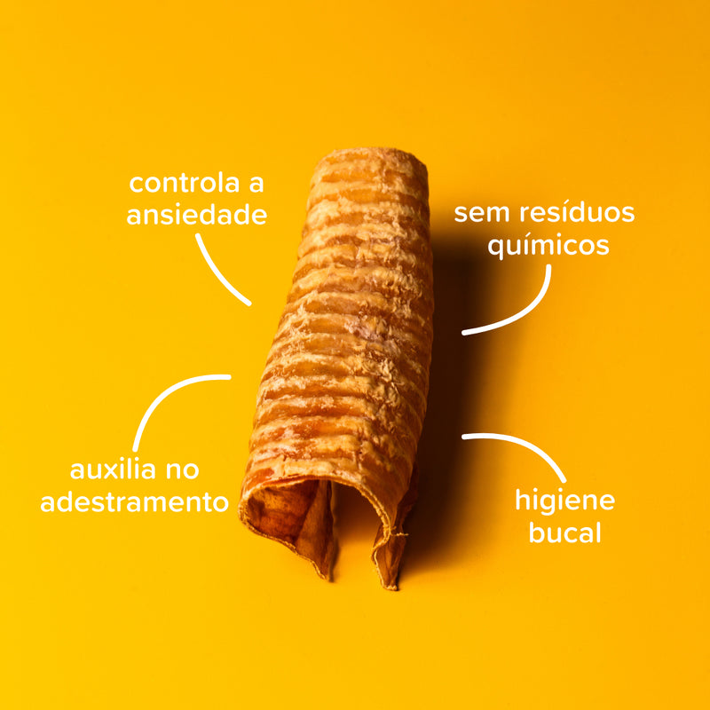 Mordedor Natural Traqueia Bovina Desidratada Para Cães Natty Chews - Viu Pet
