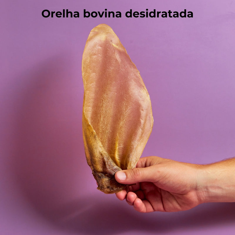 Mordedor Orelha Bovina Natural Desidratada Para Cães - 3 unid - Viu Pet