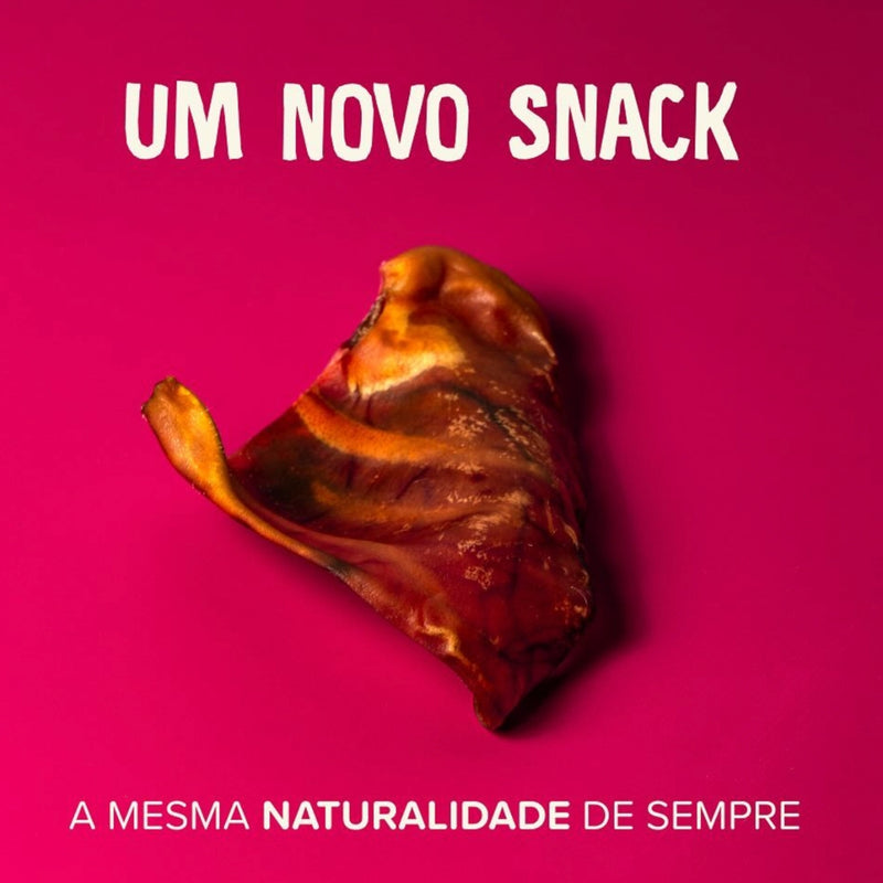 Mordedor Orelha Suína Natural Desidratada Para Cães - 3 unid - Viu Pet