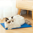 Tapete Gelado 50x90 cm - Viu Pet