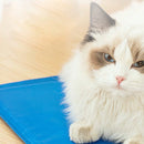 Tapete Gelado 40x50 cm - Viu Pet