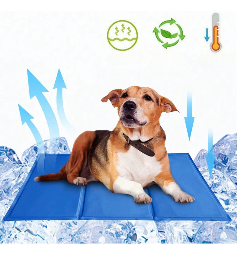 Tapete Gelado 50x90 cm - Viu Pet