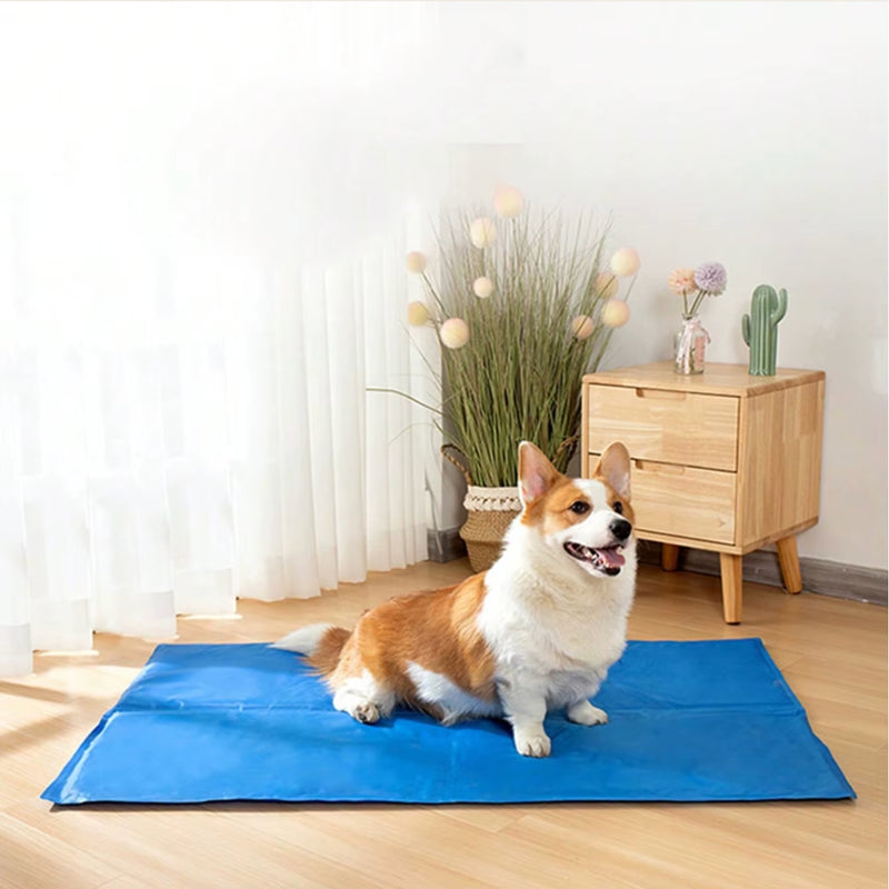 Tapete Gelado 50x90 cm - Viu Pet