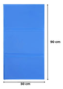 Tapete Gelado 50x90 cm - Viu Pet