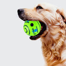 Bola Sonora Para Cachorro Brinquedo Interativo - Viu Pet