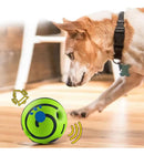 Bola Sonora Para Cachorro Brinquedo Interativo - Viu Pet