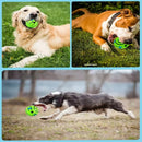 Bola Sonora Para Cachorro Brinquedo Interativo - Viu Pet