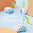 Brinquedo Interativo Elétrico Para Gato Drift - Recarregável - Viu Pet