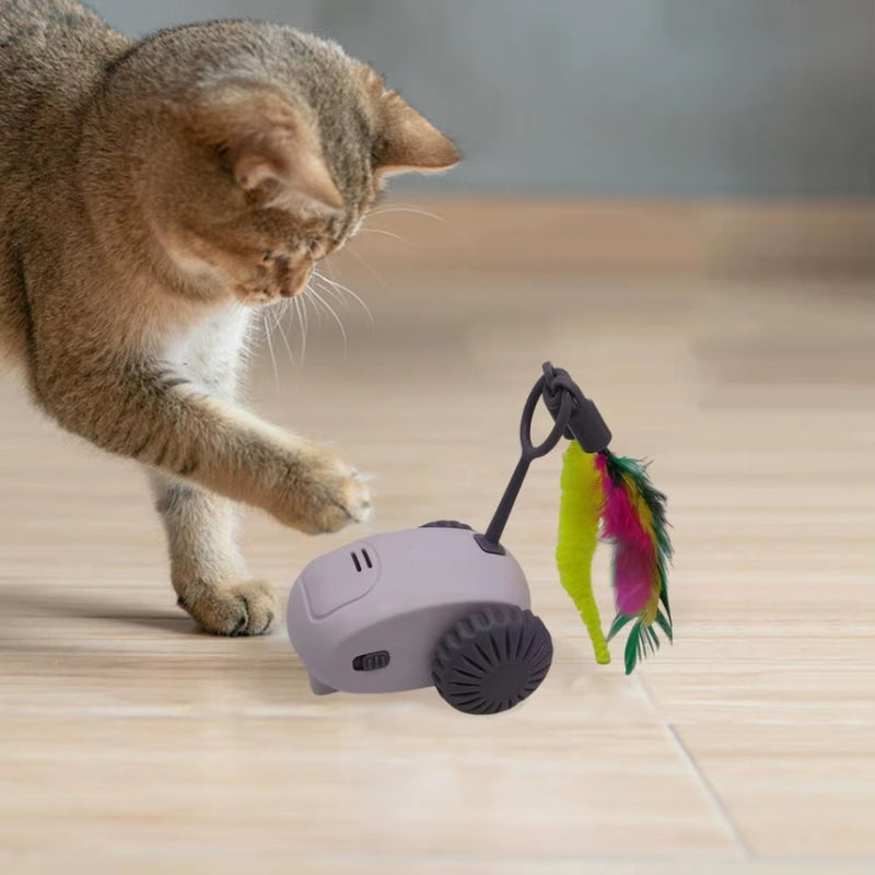 Brinquedo Interativo Elétrico Para Gato Drift - Recarregável - Viu Pet