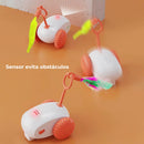 Brinquedo Interativo Elétrico Para Gato Drift - Recarregável - Viu Pet