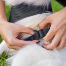 Coleira Guia E Peitoral Para Cães E Gatos Modelo Colete Pet - Viu Pet