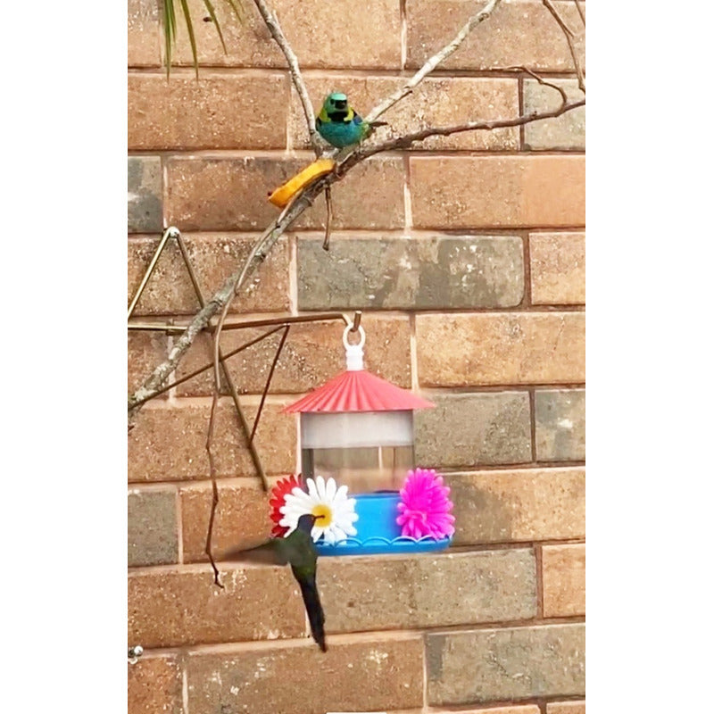 Bebedouro Para Pássaros Beija-flor Grande 750 Ml - Maior Do Mercado - Viu Pet