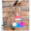 Bebedouro Para Pássaros Beija-flor Grande 750 Ml - Maior Do Mercado - Viu Pet