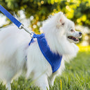 Coleira Guia E Peitoral Para Cães E Gatos Modelo Colete Pet - Viu Pet