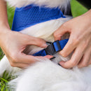 Coleira Guia E Peitoral Para Cães E Gatos Modelo Colete Pet - Viu Pet