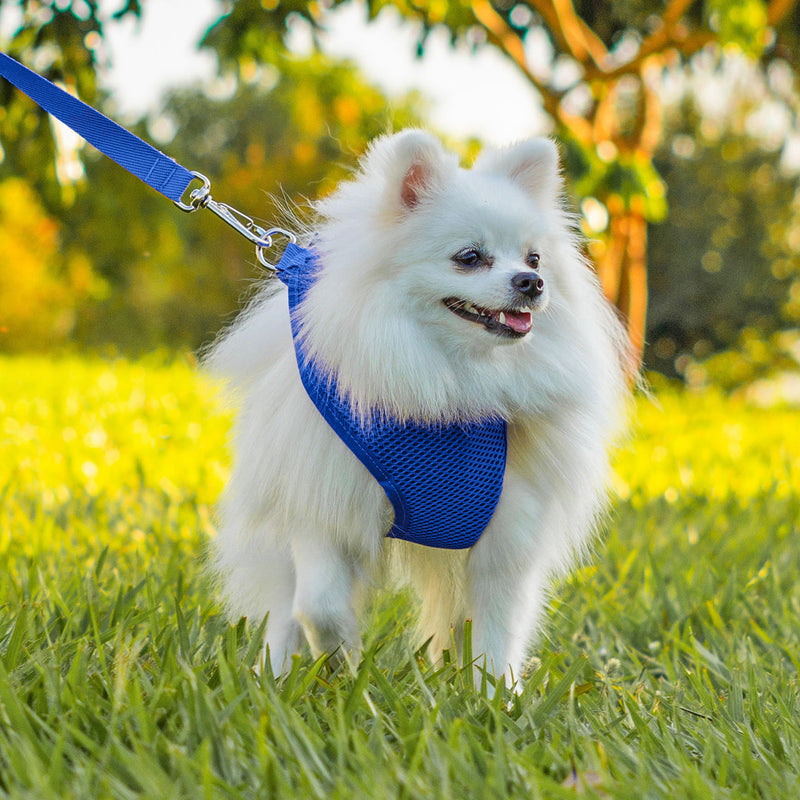 Coleira Guia E Peitoral Para Cães E Gatos Modelo Colete Pet - Viu Pet