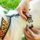 Coleira Guia E Peitoral Para Cães E Gatos Modelo Colete Pet - Viu Pet