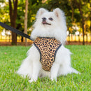 Coleira Guia E Peitoral Para Cães E Gatos Modelo Colete Pet - Viu Pet