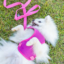 Coleira Guia E Peitoral Para Cães E Gatos Modelo Colete Pet - Viu Pet