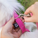 Coleira Guia E Peitoral Para Cães E Gatos Modelo Colete Pet - Viu Pet