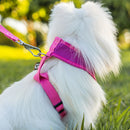 Coleira Guia E Peitoral Para Cães E Gatos Modelo Colete Pet - Viu Pet