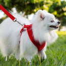 Coleira Guia E Peitoral Para Cães E Gatos Modelo Colete Pet - Viu Pet