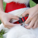 Coleira Guia E Peitoral Para Cães E Gatos Modelo Colete Pet - Viu Pet