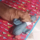 Pelúcia Ganso Com Apito