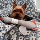 Pelúcia Ganso Com Apito