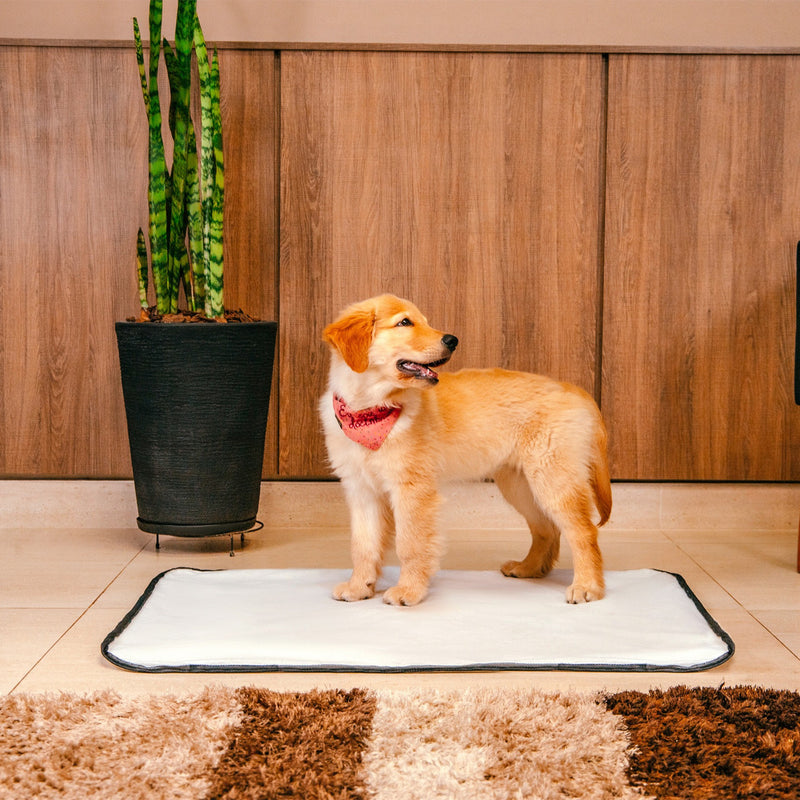 Tapete Higiênico Lavável - Tamanho G 90x100 cm - Viu Pet