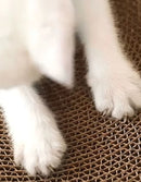 Arranhador Onda + Catnip