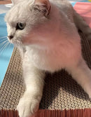 Arranhador Onda + Catnip