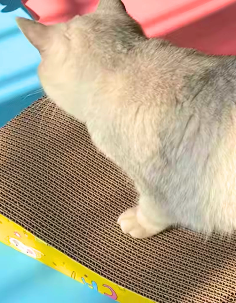 Arranhador Onda + Catnip