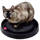 Arranhador Redondo Com Carpete e Bolinha Interativa - Viu Pet