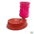 Kit Comedouro e Bebedouro Automático Evita Molhar Pelos - Galão 1 Litro - Viu Pet