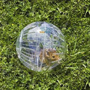 Bola Para Hamster - 14,5 cm - Viu Pet