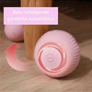 Bola Inteligente Giratória Para Gato - Viu Pet