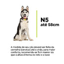 Casinha Para Cães N.5 - Viu Pet