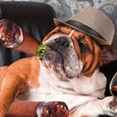 Brinquedo Pelúcia Com Apito - Cigarro e Charuto interativo - Viu Pet