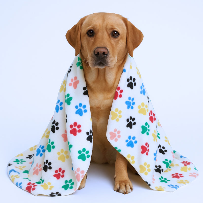Mantinha Pet Cobertor 100x70cm