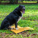 Colchonete Lavável Suede 100% Poliéster Premium - Viu Pet