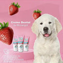 Creme Dental Pet Clean Para Cães e Gatos - 60g - Viu Pet