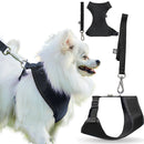 Coleira Guia E Peitoral Para Cães E Gatos Modelo Colete Pet - Viu Pet