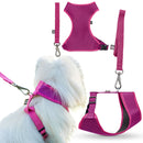 Coleira Guia E Peitoral Para Cães E Gatos Modelo Colete Pet - Viu Pet