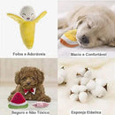 Kit 10 Brinquedos Pelúcia Pet - Viu Pet